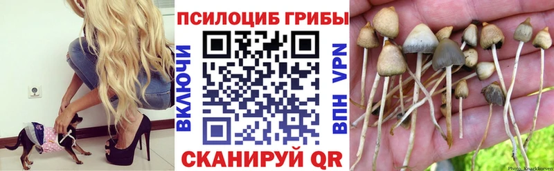 Псилоцибиновые грибы Magic Shrooms Луга