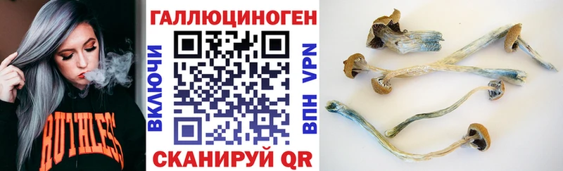 что такое наркотик  Луга  Галлюциногенные грибы Psilocybe 